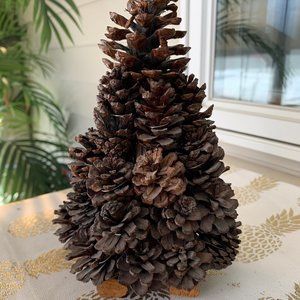 Pinecone Evergreen tree